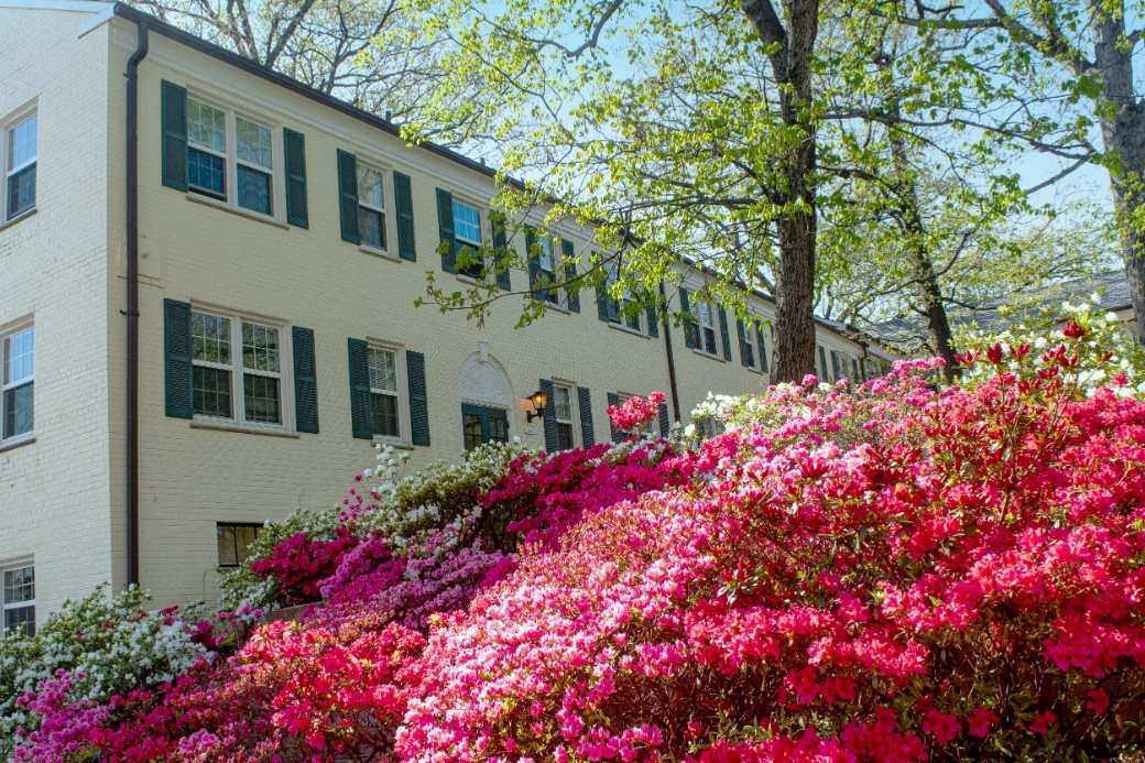 Barcroft Landscaping